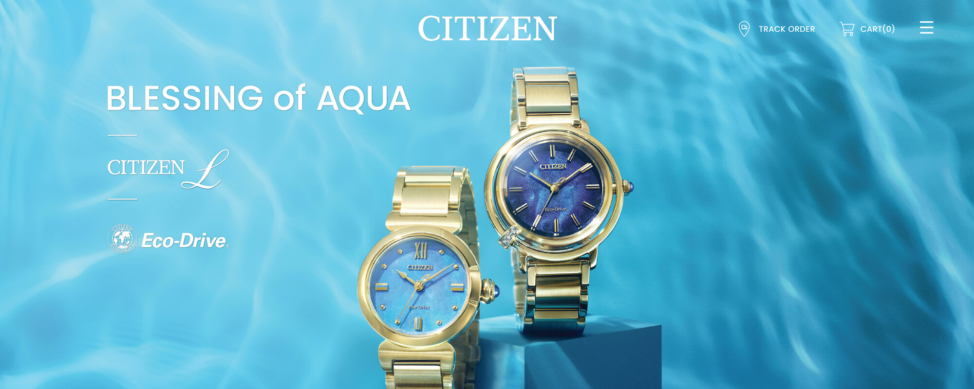 Citizen Watches